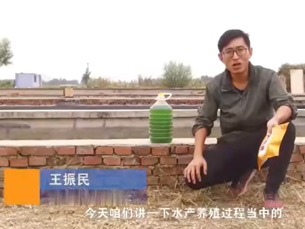 水产养殖历程中藻类的使用先容