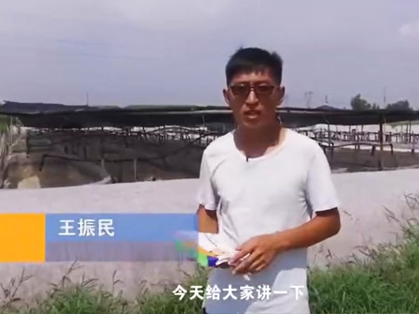 菌种先容-芽孢杆菌先容