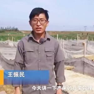 产床一样平常治理