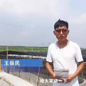 菌种先容-EM菌先容