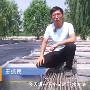 钱柜qg777小苗的下水要领