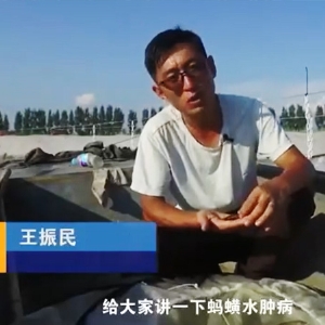 病虫害治理-水肿病发与防治